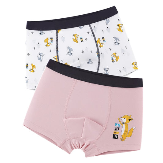 2 pcs/pack Boys 100% Cotton Boxers - Blue, Pink.
