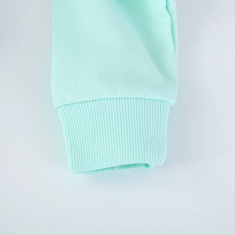 Cotton Embroidered Cartoon Elves Flowers Long Sleeve Sweatshirt for Girls 2-7 Years - Mint Green