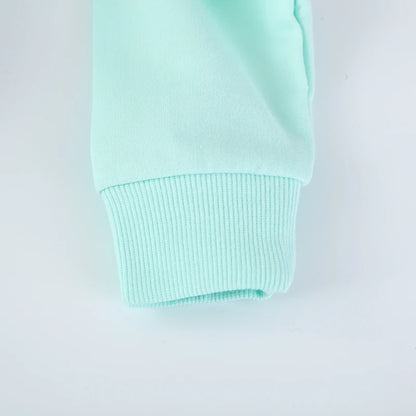 Cotton Embroidered Cartoon Elves Flowers Long Sleeve Sweatshirt for Girls 2-7 Years - Mint Green