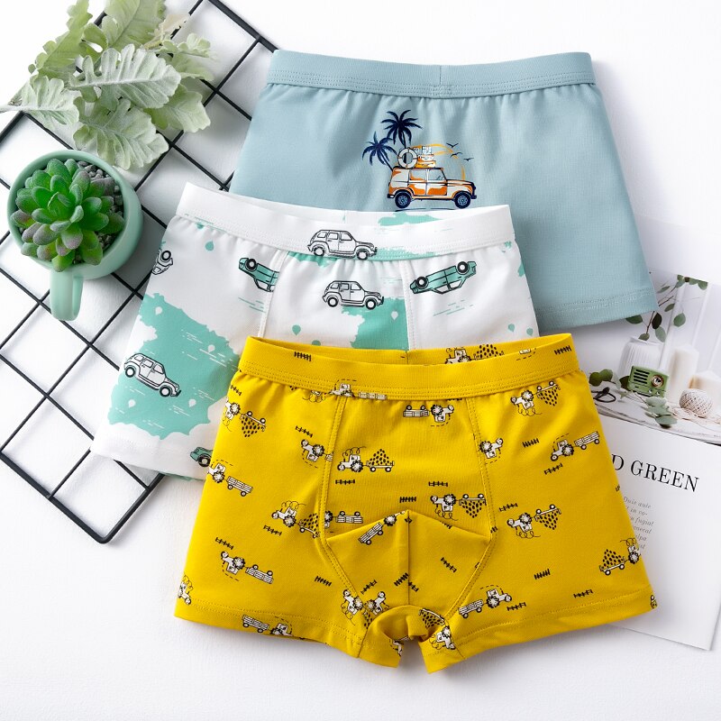 High Quality Boys Natural Cotton Cartoon Lion Print Briefs & Boxers, 3 pcs.